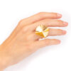 Anillo Sahara - Imagen 2